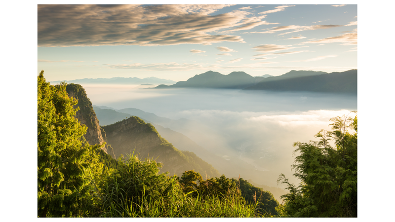 Top Taiwan Tour Company for Foreigners: 2025 Explore Taiwan Like a Local with Expert Guides