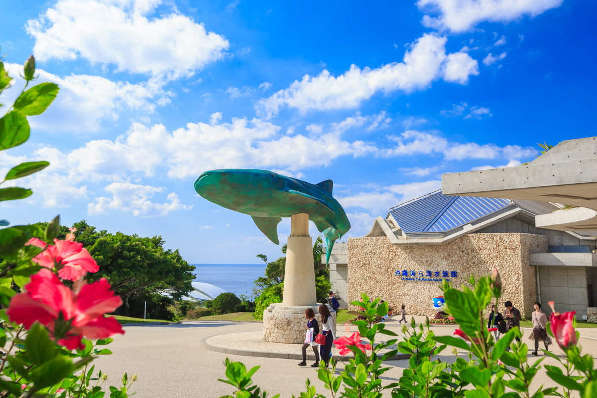 沖繩北部景點 沖繩美麗海水族館