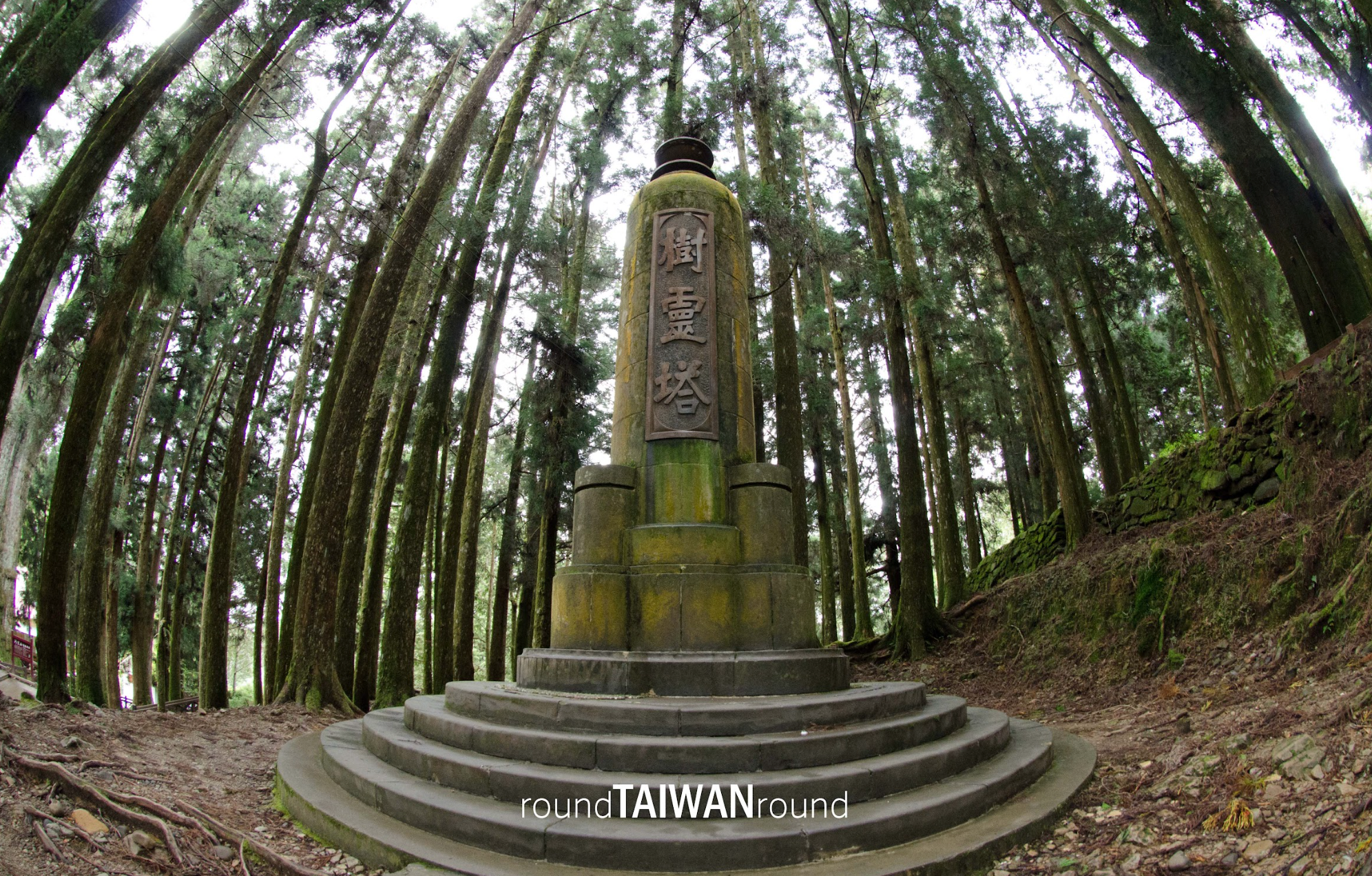 神木群暨巨木群棧道