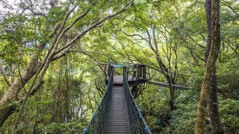 桃園拉拉山包車景點：巴陵古道