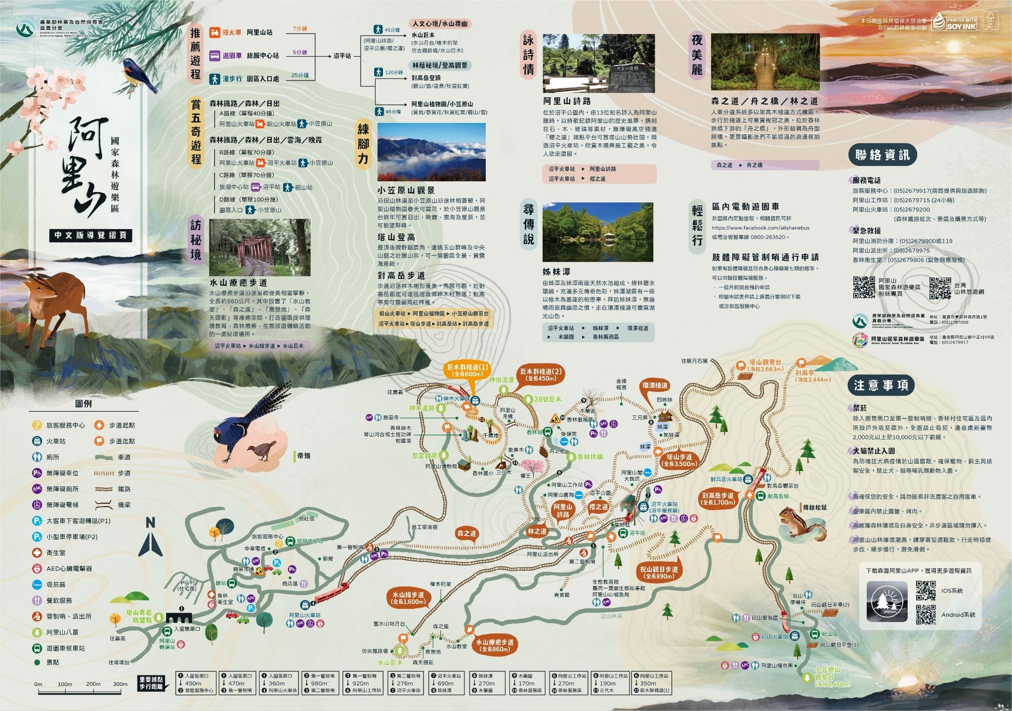 阿里山森林遊樂區導覽圖
