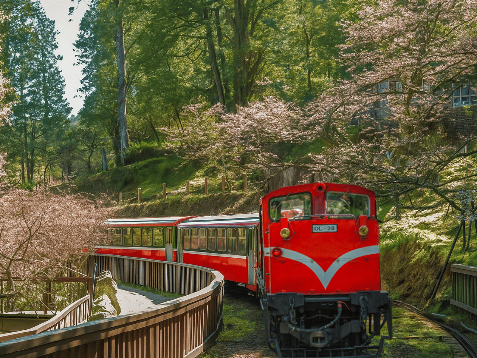 嘉義 ↔ 阿里山